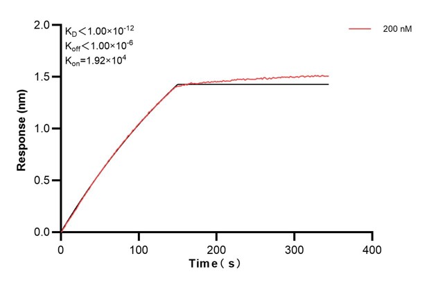 Affinity and Kinetic Characterization of 68780-2-PBS
