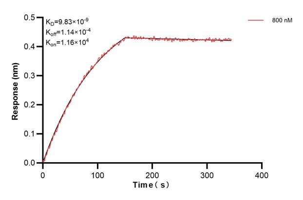 Biolayer interferometry (BLl) kinetic assays of <a class='green' href='/productredirect?CatalogNo=68792-2-Ig' target='_blank'>68792-2-Ig</a> against Human NME1 were performed. The affinity constant is 9.83 nM. Affinity and Kinetic Characterization of 68792-2-PBS