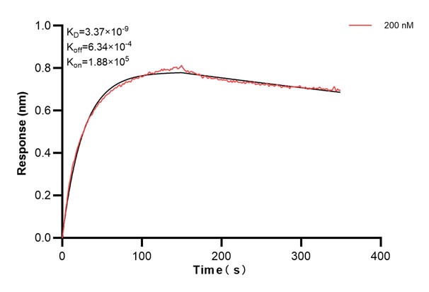 Affinity and Kinetic Characterization of 68801-1-PBS