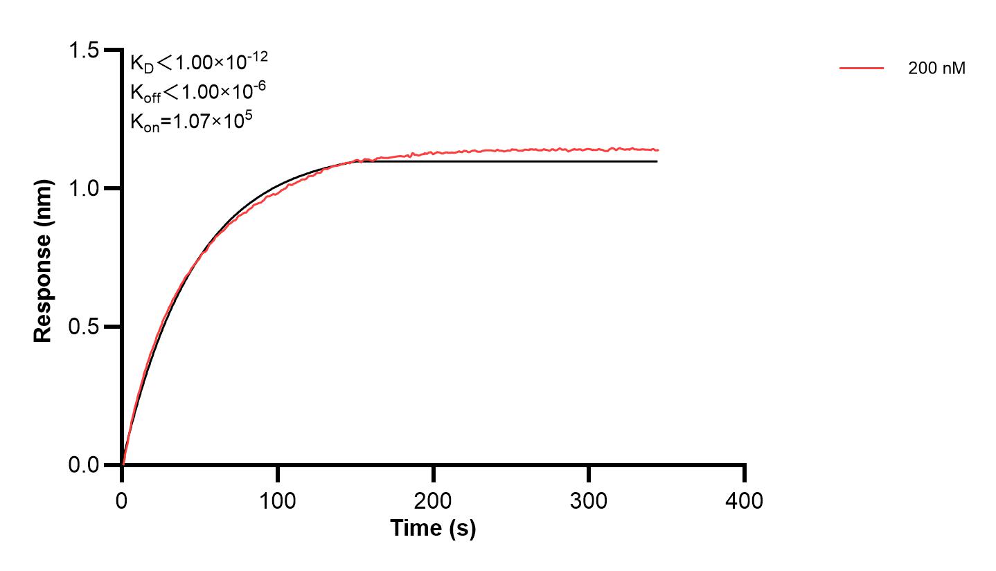 Affinity and Kinetic Characterization of 68805-2-PBS Affinity and Kinetic Characterization of 68805-2-PBS
