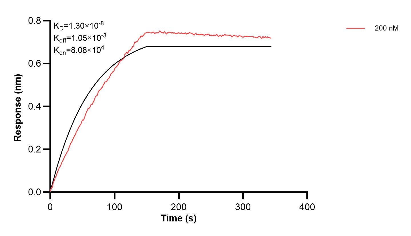 Affinity and Kinetic Characterization of 68848-2-PBS