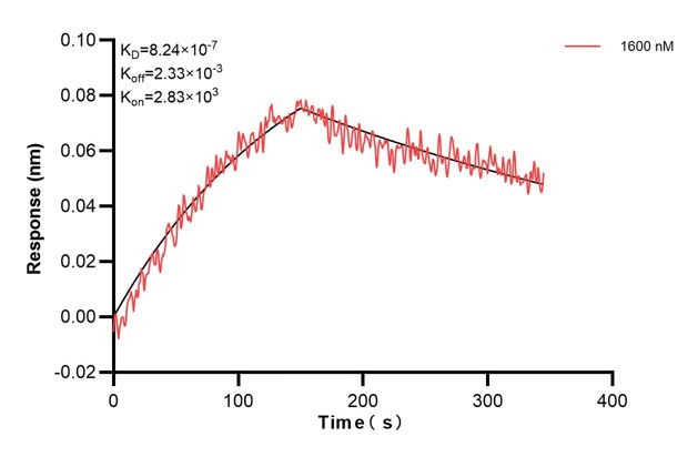 Biolayer interferometry (BLl) kinetic assay of <a class='green' href='/productredirect?CatalogNo=68859-1-Ig' target='_blank'>68859-1-Ig</a> against Human KRT7 was performed. The affinity constant is 824 nM... Affinity and Kinetic Characterization of 68859-1-PBS