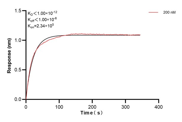 Affinity and Kinetic Characterization of 68860-3-PBS