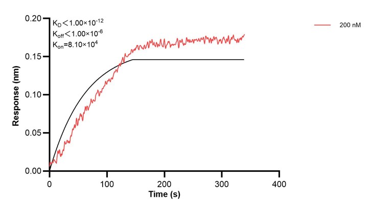Affinity and Kinetic Characterization of 68862-1-PBS Affinity and Kinetic Characterization of 68862-1-PBS