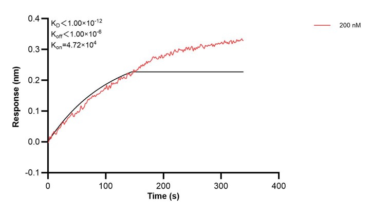 Affinity and Kinetic Characterization of 68862-2-PBS Affinity and Kinetic Characterization of 68862-2-PBS