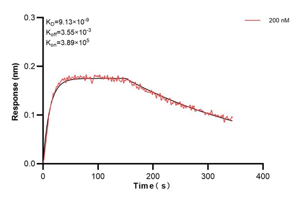 Affinity and Kinetic Characterization of 68894-2-PBS