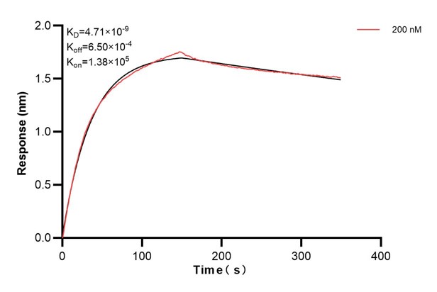 Affinity and Kinetic Characterization of 68937-3-PBS Affinity and Kinetic Characterization of 68937-3-PBS