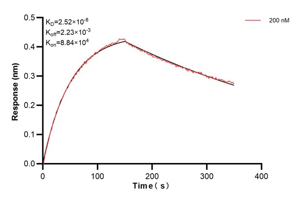 Affinity and Kinetic Characterization of 68983-4-PBS