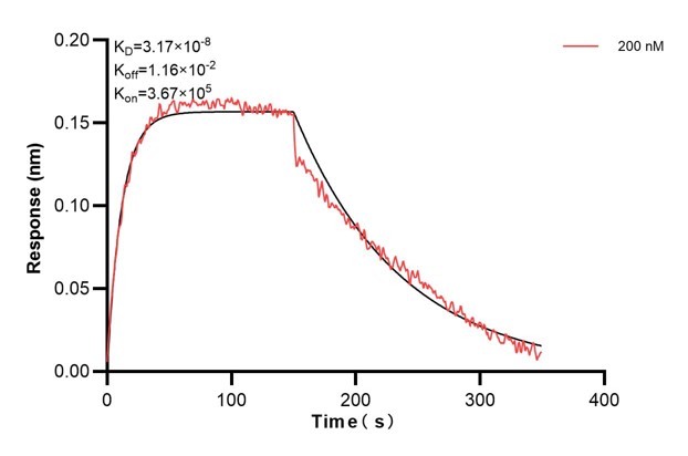 Affinity and Kinetic Characterization of 68983-5-PBS
