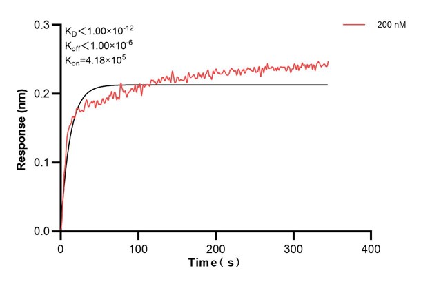 Affinity and Kinetic Characterization of 68993-4-PBS