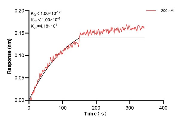 Affinity and Kinetic Characterization of 68993-5-PBS