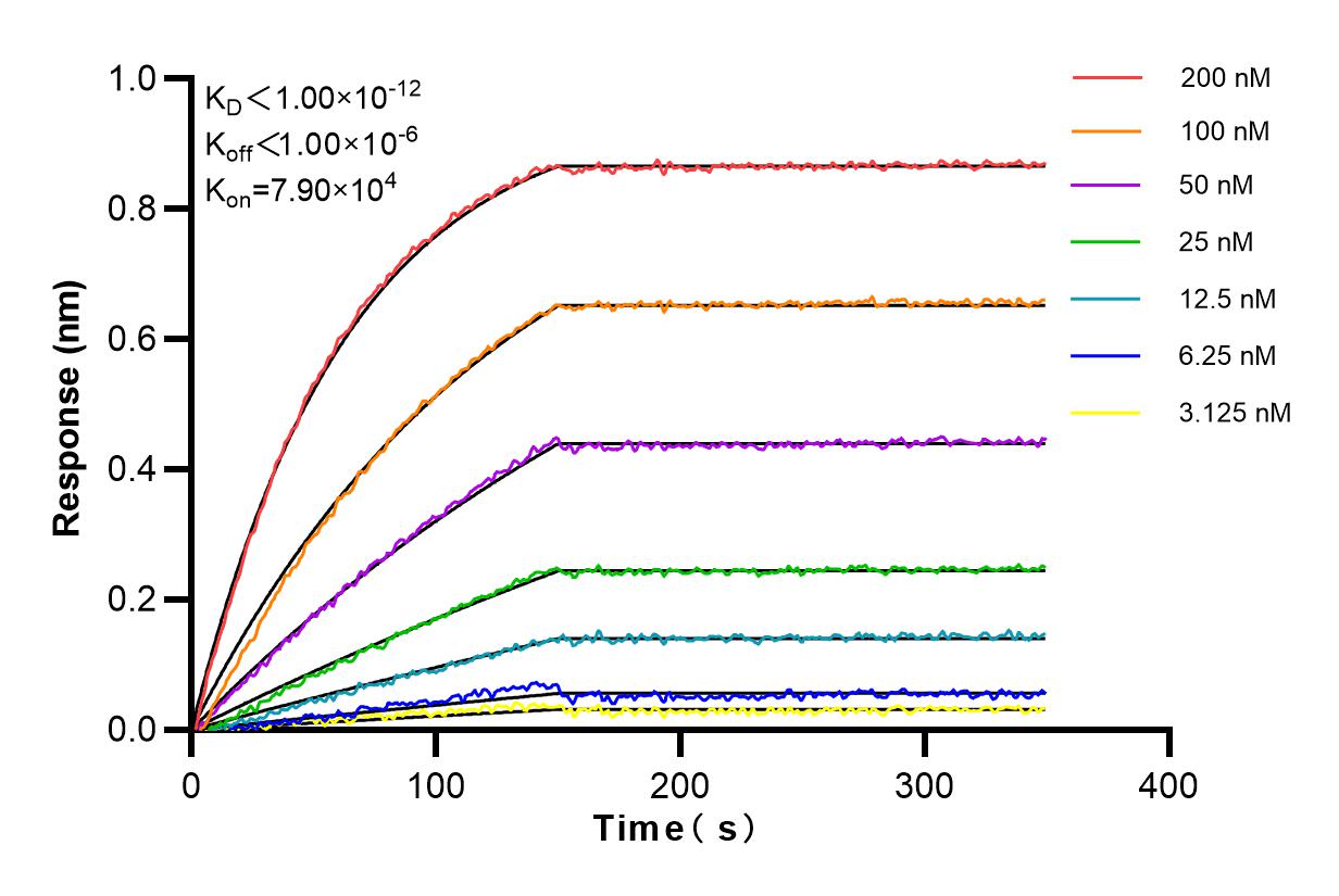 Biolayer interferometry (BLl) kinetic assay of 80002-1-PBS against Human TDP-43 (N-terminal) was performed. The affinity constant is below 1 pM. Affinity and Kinetic Characterization of 80002-1-PBS
