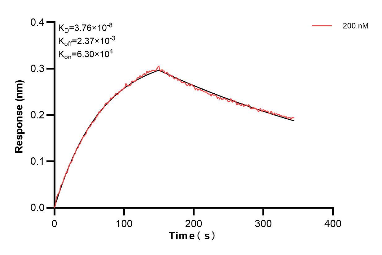 Affinity of 80006-1-PBS Affinity of 80006-1-PBS