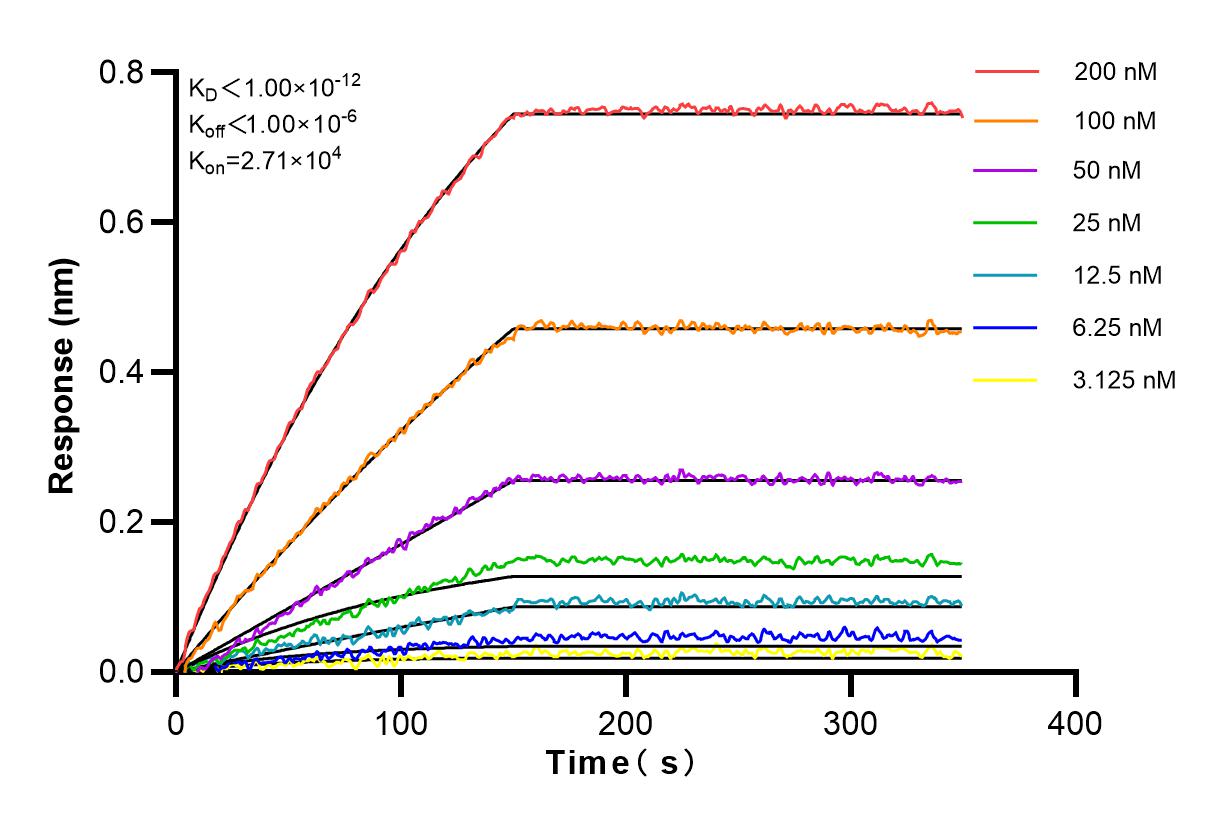 Affinity and Kinetic Characterization of 80209-5-RR