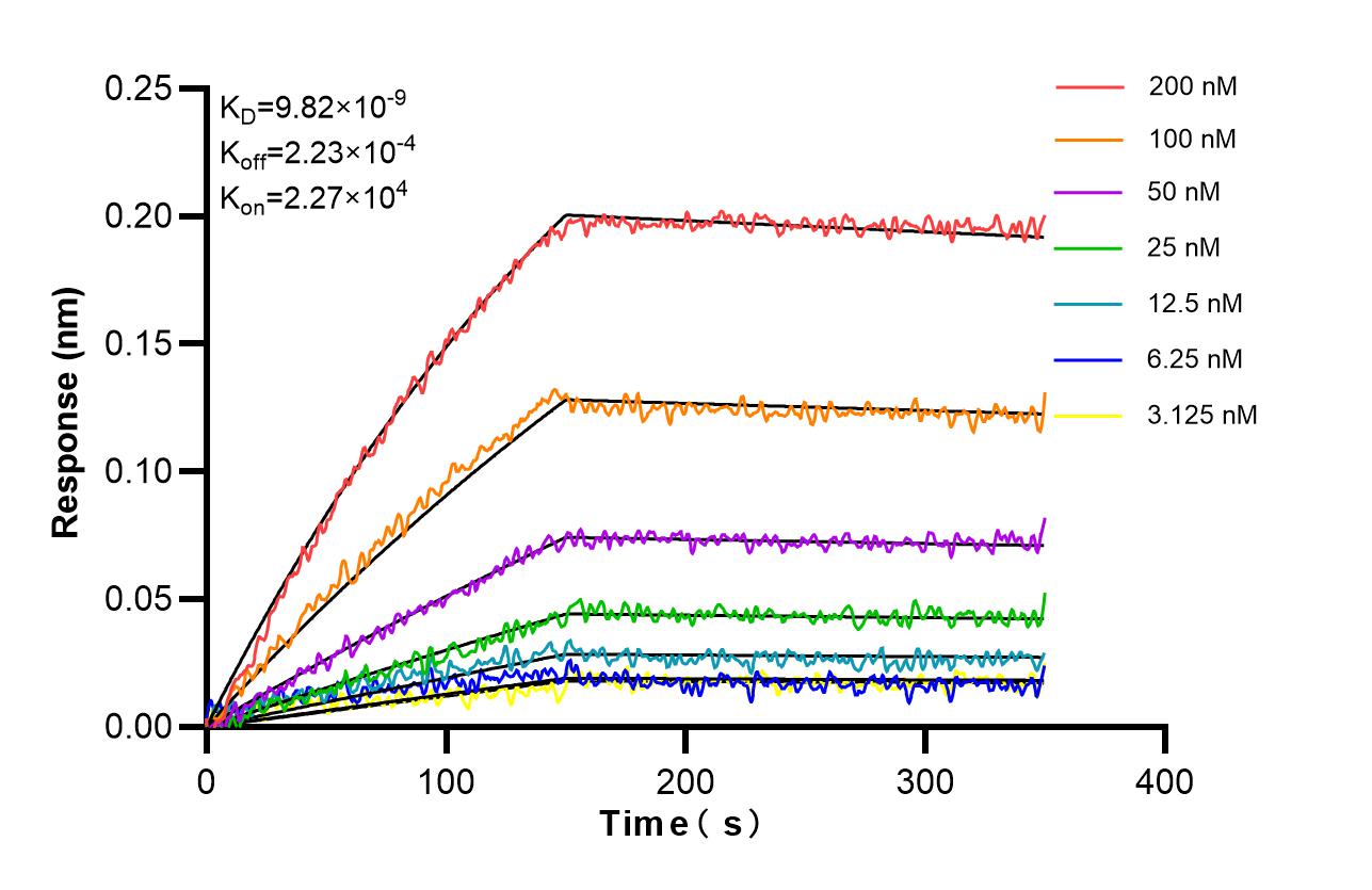 Biolayer interferometry (BLl) kinetic assays of <a class='green' href='/productredirect?CatalogNo=80260-2-RR' target='_blank'>80260-2-RR</a> against Mouse TNF-alpha were performed. The affinity constant is 9.82 nM. Affinity and Kinetic Characterization of 80260-2-RR