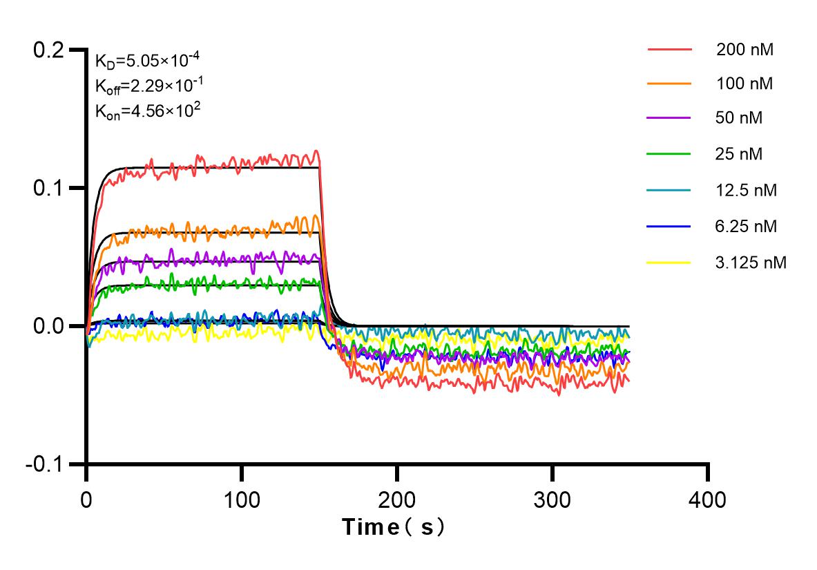 Affinity and Kinetic Characterization of 80847-2-RR