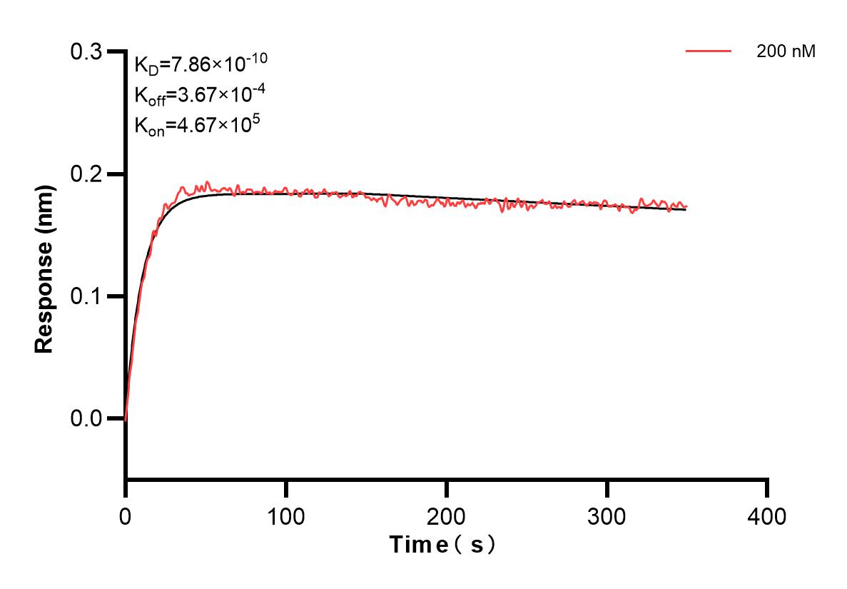 Affinity and Kinetic Characterization of 80847-3-PBS