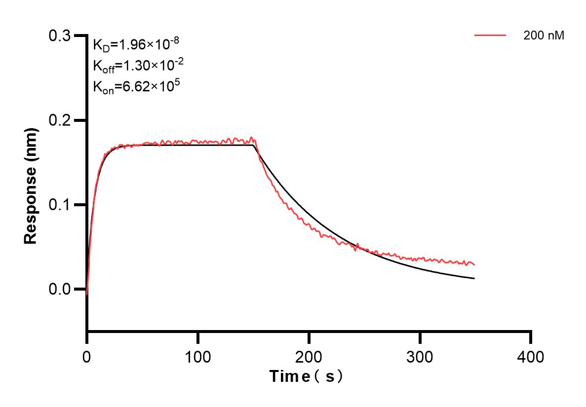 Affinity and Kinetic Characterization of 80847-6-PBS