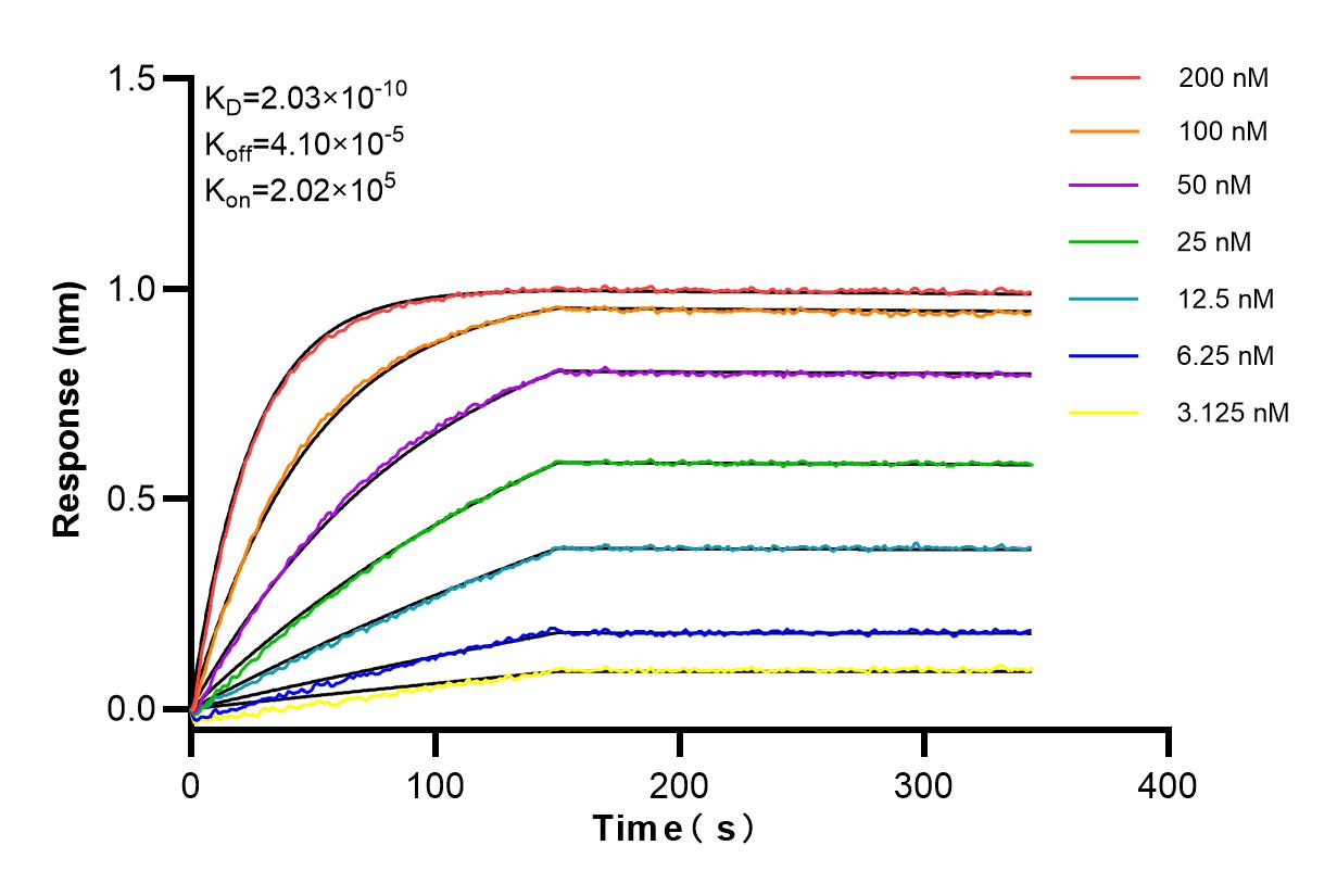 Affinity and Kinetic Characterization of 80965-4-RR
