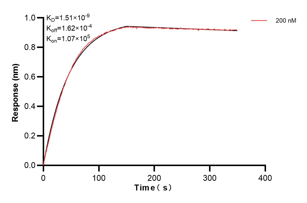 Affinity and Kinetic Characterization of 81334-3-PBS