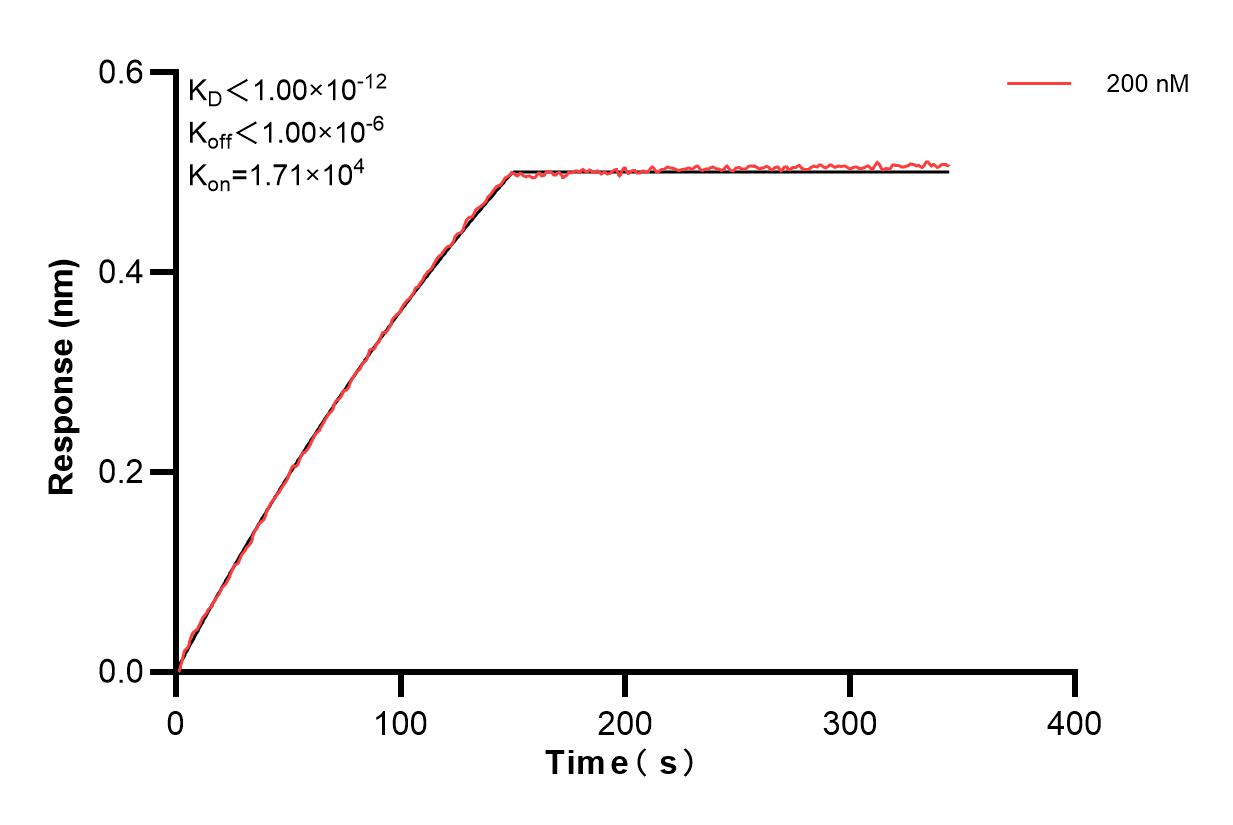 Affinity of 81691-3-PBS
