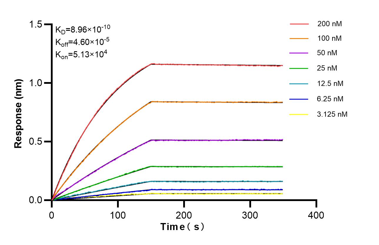 Affinity of 81793-14-RR