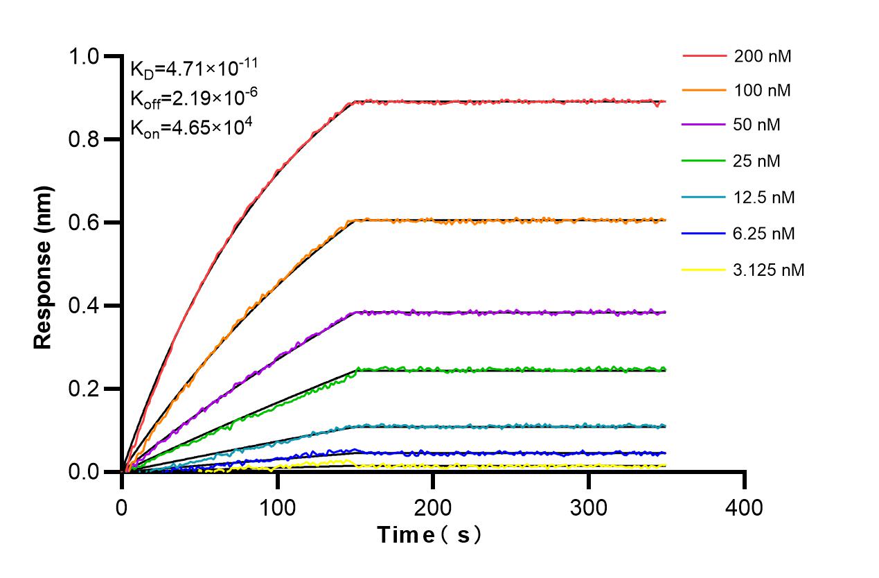 Affinity and Kinetic Characterization of 81793-5-PBS