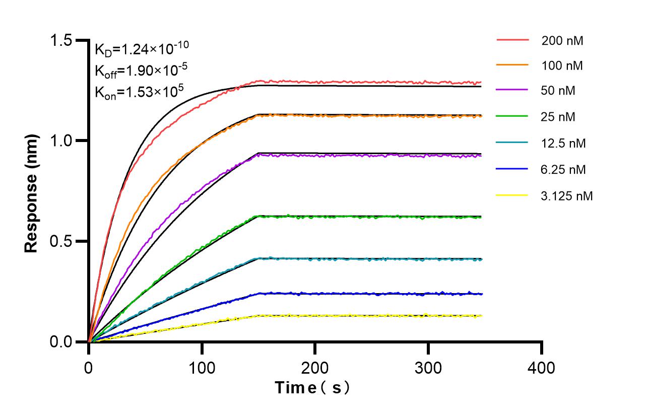Affinity and Kinetic Characterization of 82012-2-RR Affinity and Kinetic Characterization of 82012-2-RR