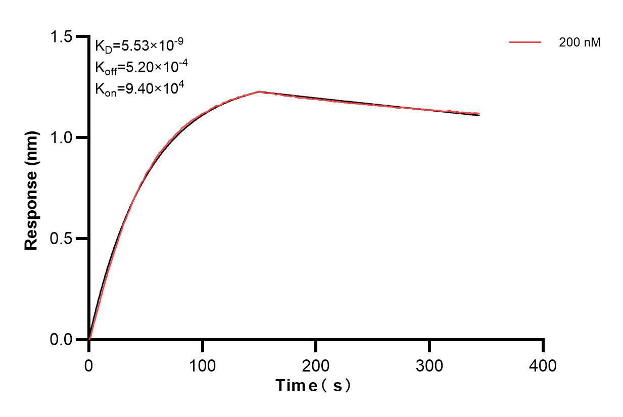 Biolayer interferometry (BLl) kinetic assay of 82548-8-PBS against Human KRT5 was performed. The affinity constant is 5.53 nM. Affinity and Kinetic Characterization of 82548-8-PBS