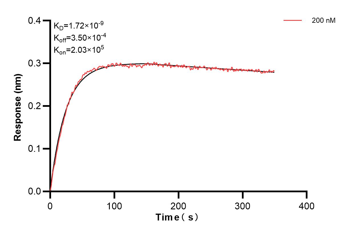 Affinity and Kinetic Characterization of 82626-2-PBS