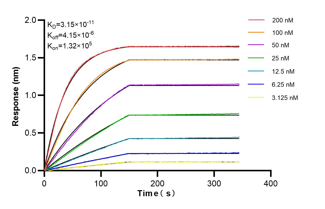 Affinity of 82685-20-RR