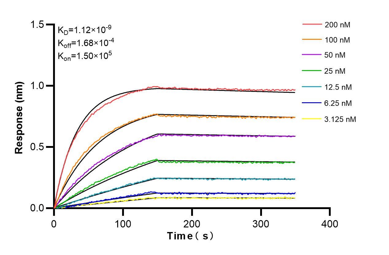 Affinity and Kinetic Characterization of 82687-5-RR