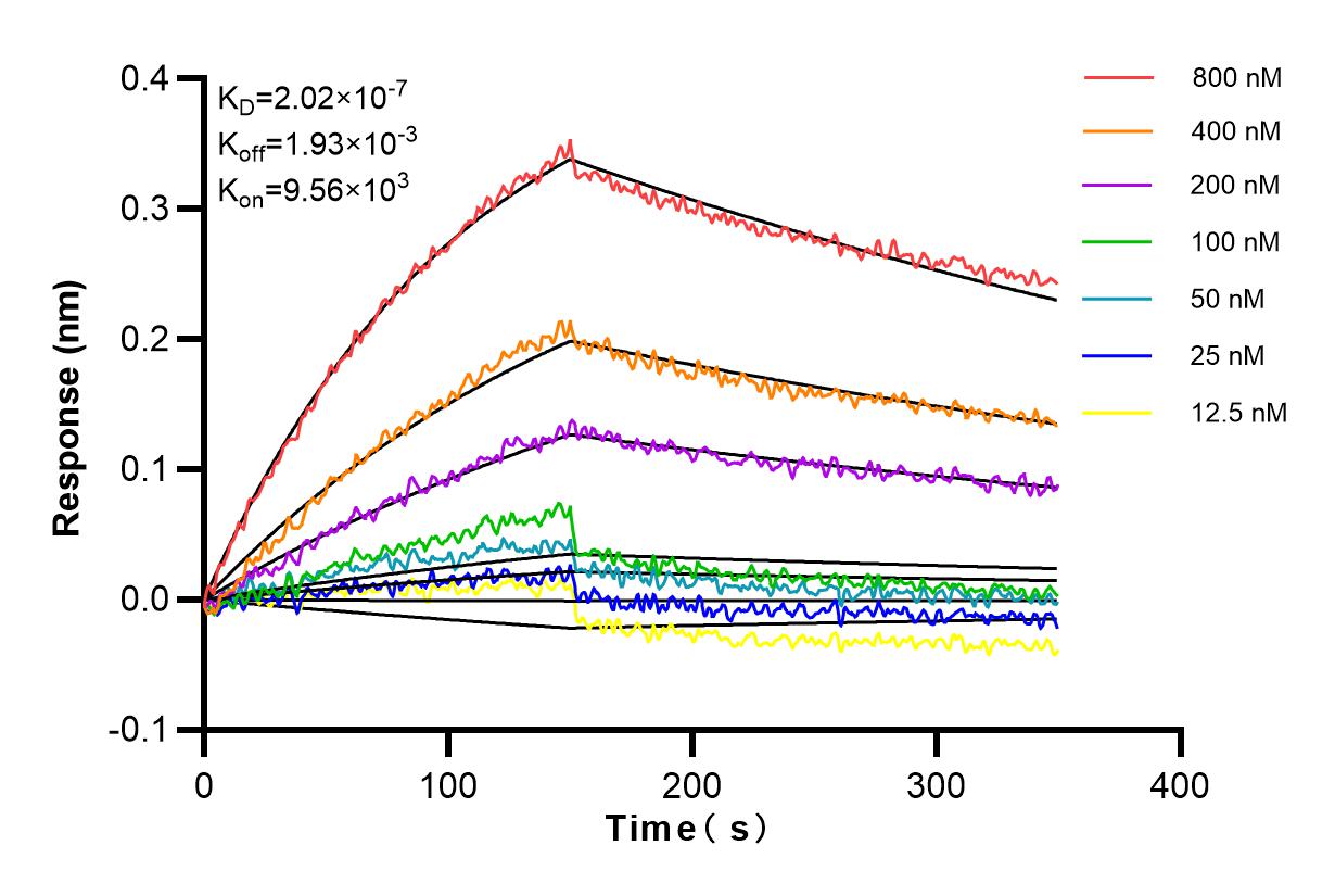 Affinity and Kinetic Characterization of 82696-6-PBS