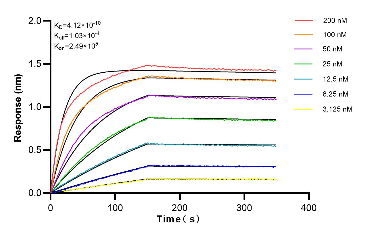 Affinity and Kinetic Characterization of 82712-5-RR