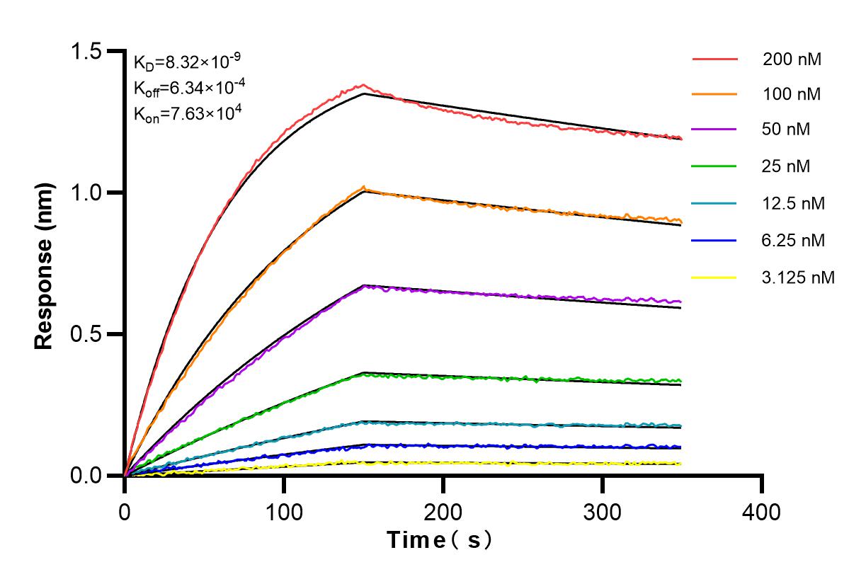 Affinity and Kinetic Characterization of 82747-2-RR