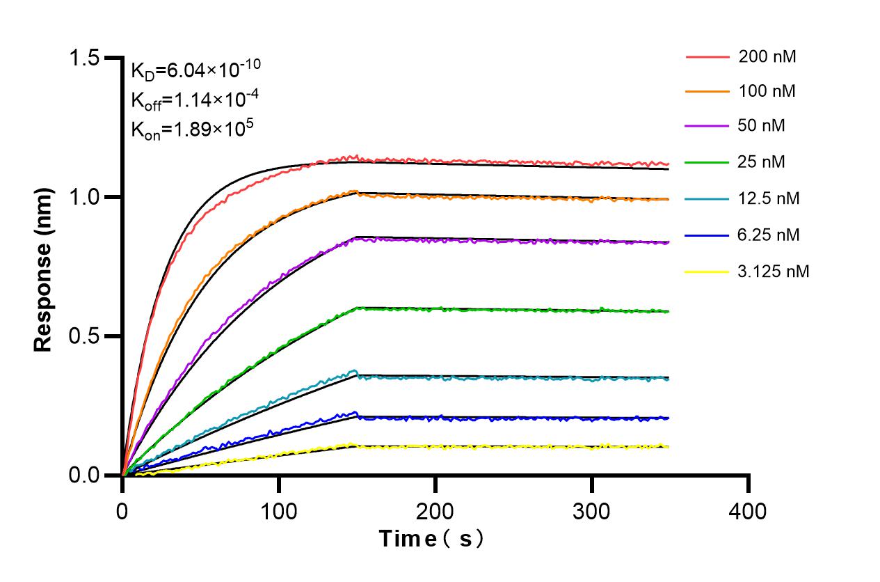 Biolayer interferometry (BLl) kinetic assays of 82750-3-RR against Human PRMT5 were performed. The affinity constant is 0.604 nM. Affinity and Kinetic Characterization of 82750-3-RR