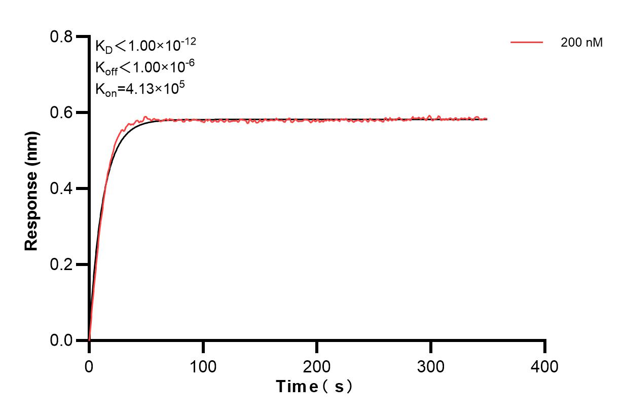 Biolayer interferometry (BLl) kinetic assay of 82766-11-PBS against Human IL-22 was performed. The affinity constant is below 1 pM. Affinity and Kinetic Characterization of 82766-11-PBS