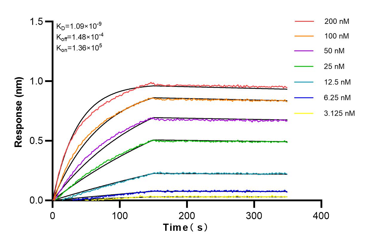 Affinity and Kinetic Characterization of 82790-2-RR Affinity and Kinetic Characterization of 82790-2-RR