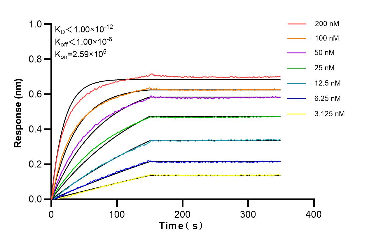 Affinity of 82846-5-RR Affinity of 82846-5-RR