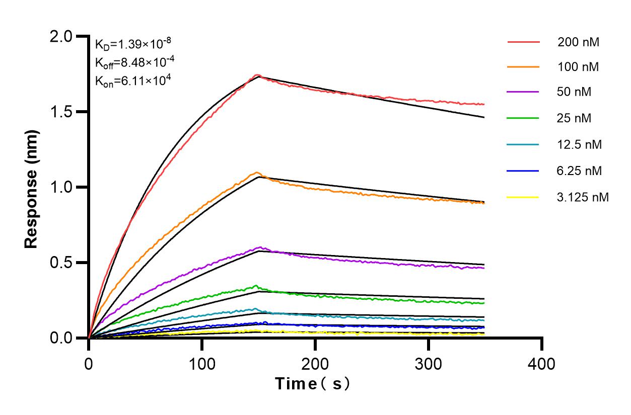 Affinity and Kinetic Characterization of 82877-2-PBS