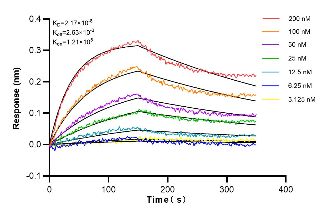 Affinity and Kinetic Characterization of 82909-7-RR