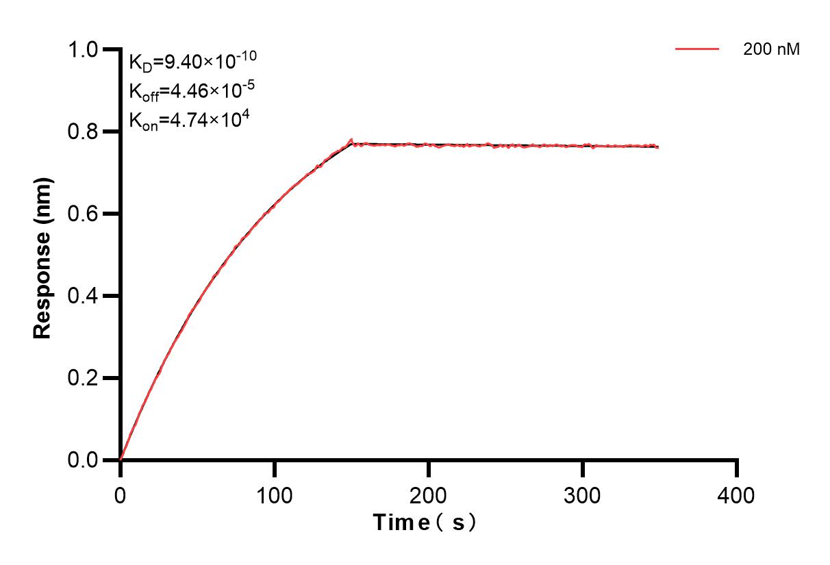 Biolayer interferometry (BLl) kinetic assay of 82940-6-PBS against Human CAMP was performed. The affinity constant is 0.94 nM. Affinity and Kinetic Characterization of 82940-6-PBS