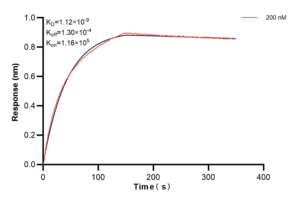 Affinity and Kinetic Characterization of 82943-6-PBS