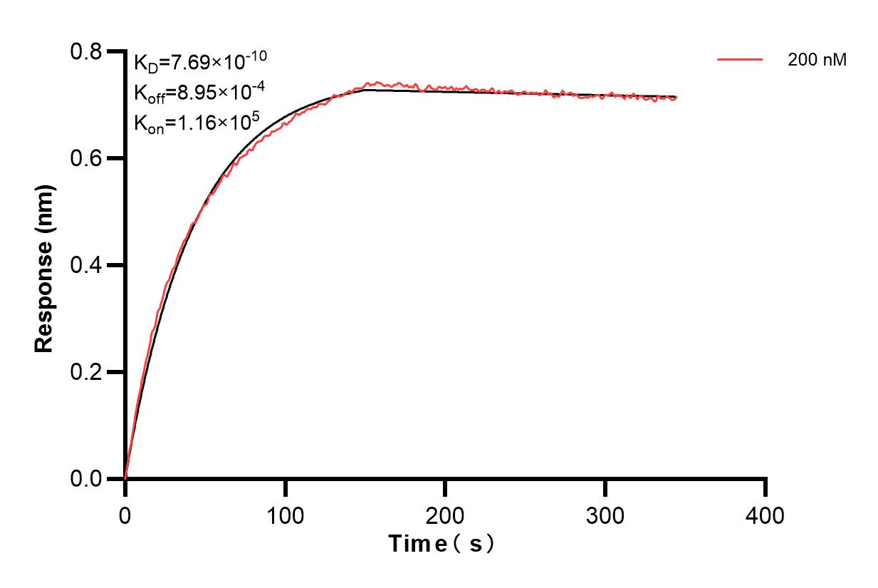 Affinity and Kinetic Characterization of 82943-7-PBS