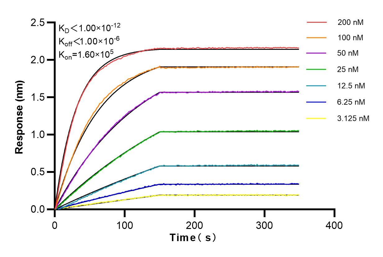 Affinity and Kinetic Characterization of 82947-7-PBS