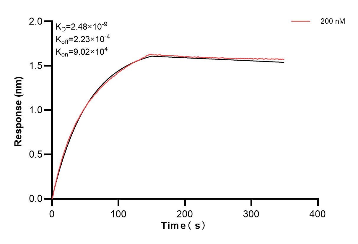 Affinity and Kinetic Characterization of 82973-2-PBS