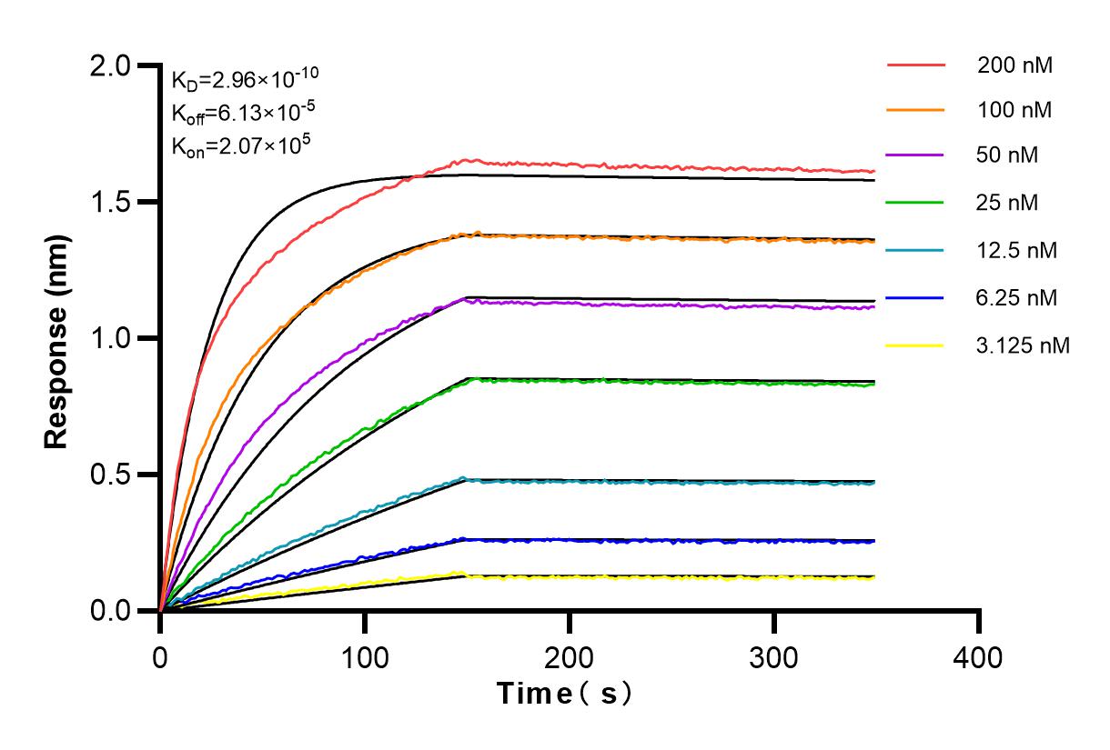 Affinity and Kinetic Characterization of 82993-5-PBS
