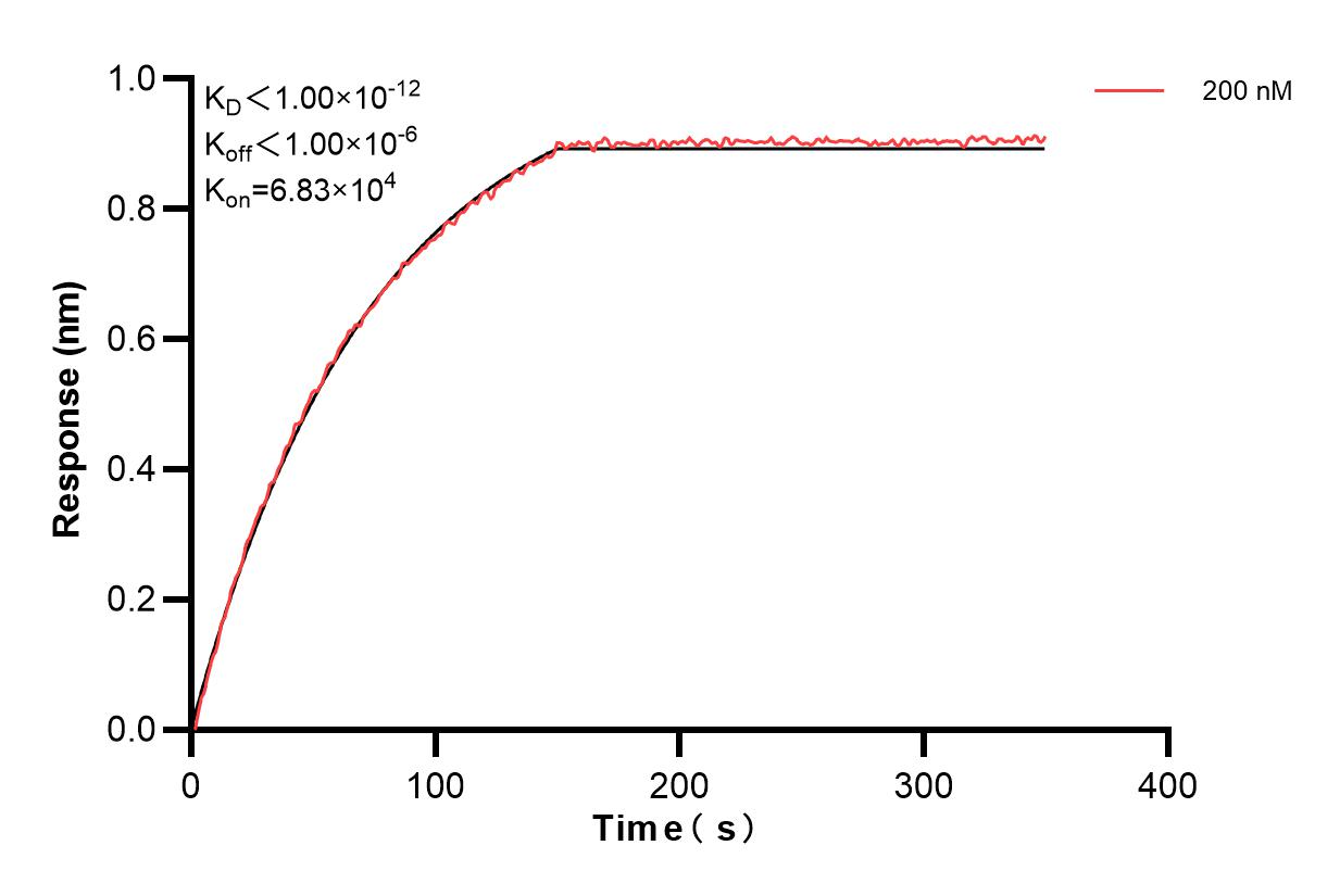 Affinity and Kinetic Characterization of 83003-4-PBS