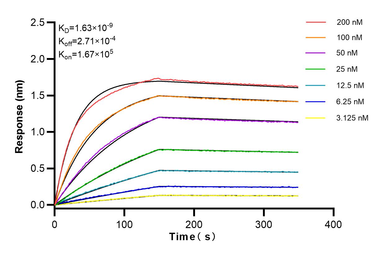 Affinity and Kinetic Characterization of 83010-1-RR