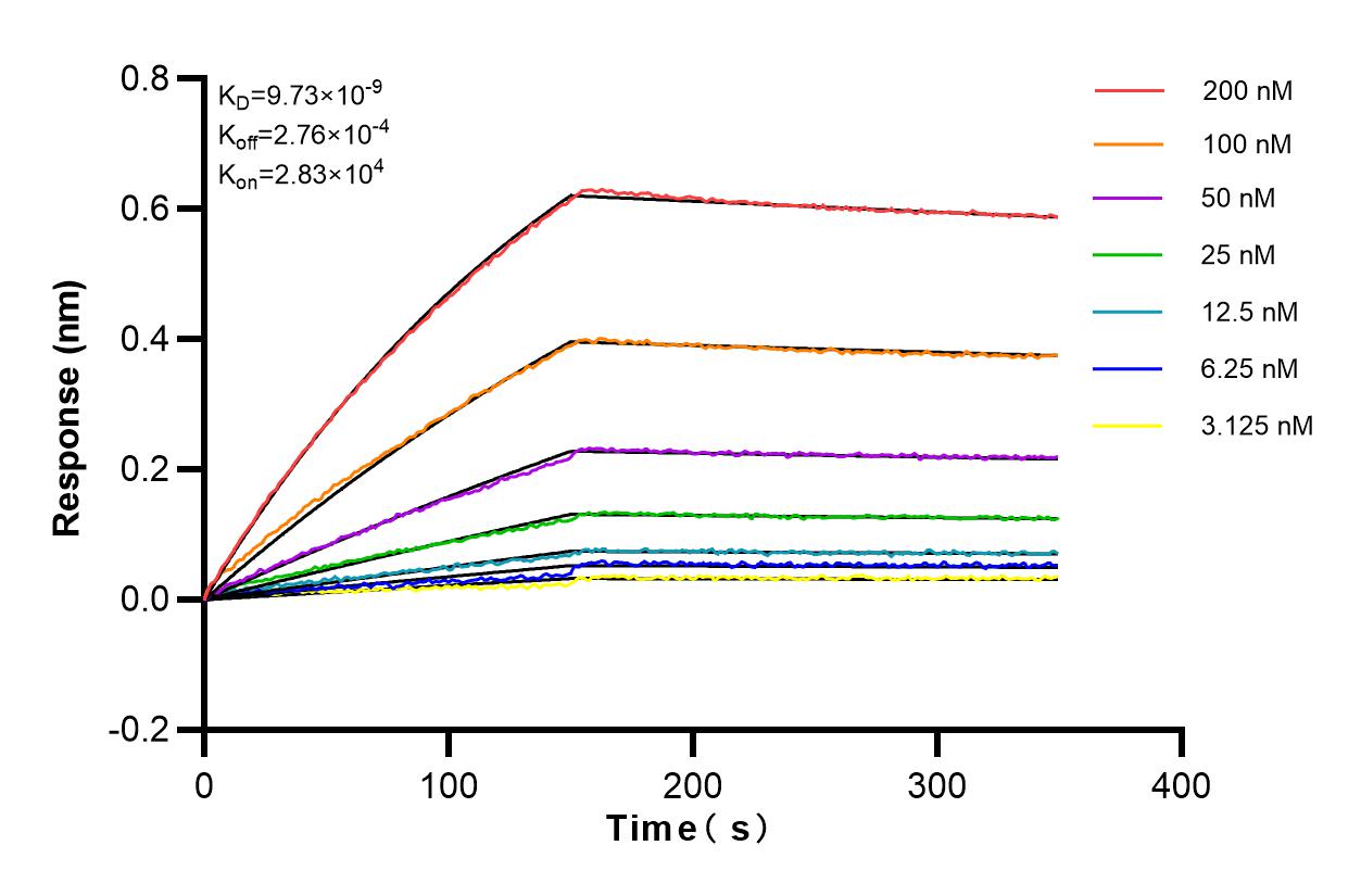 Affinity and Kinetic Characterization of 83077-4-RR